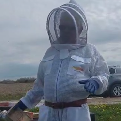 Ventilated Bee Suits