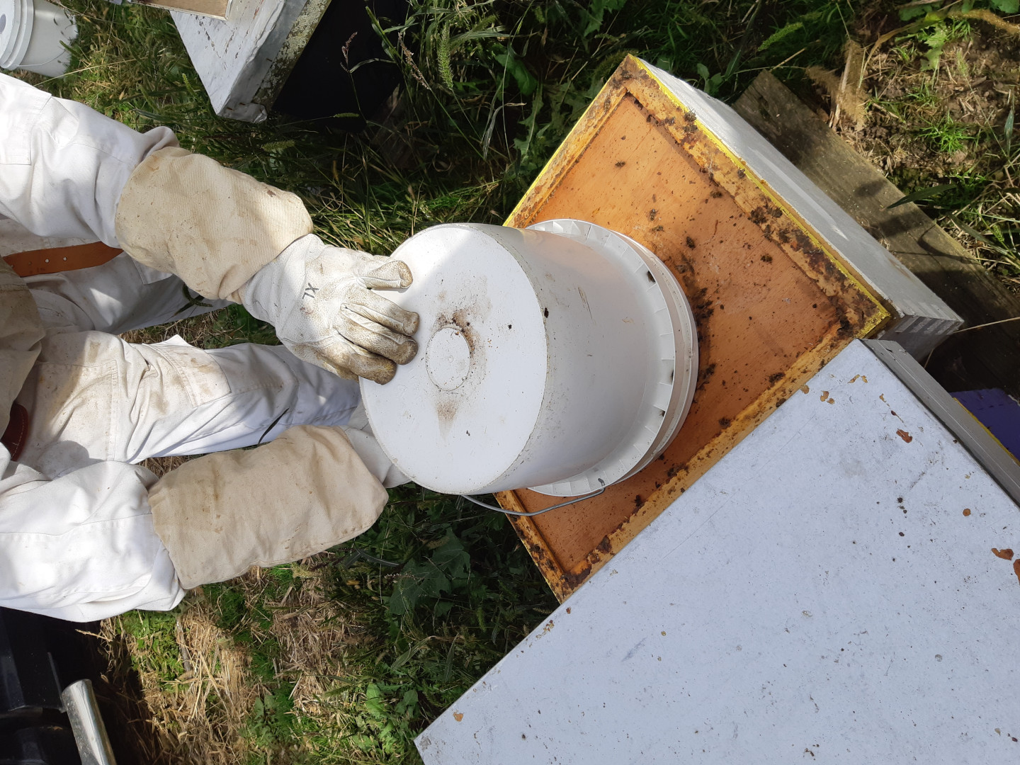 10-litre Feeder Pails - Ready to Feed your bees for the fall season